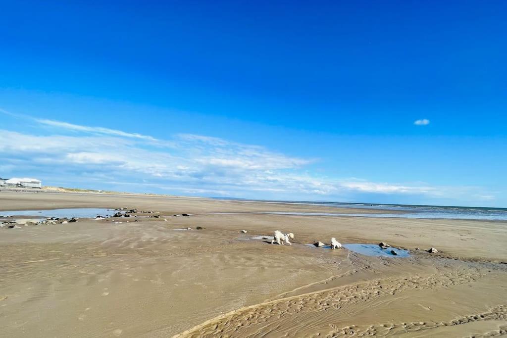2 Bedroom Holiday Home In The Heart Of West Wales 세인트 클리어스 외부 사진